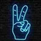 Amer_334D