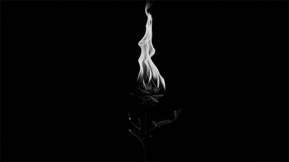 A U R O R A